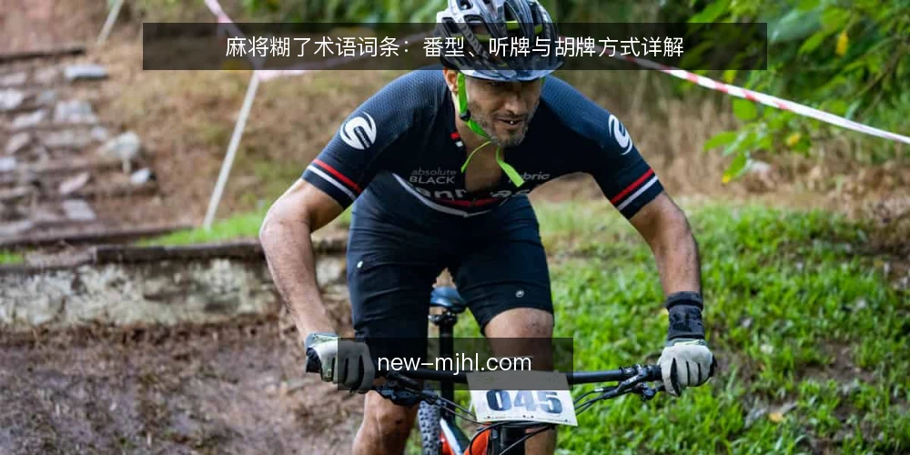 麻将糊了术语词条:番型、听牌与胡牌方式详解 — 信号观察:从牌型到番型的线索 配图
